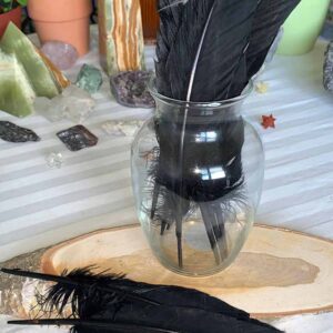 Natural Dyed Turkey Feathers