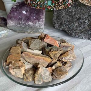 Petrified Wood