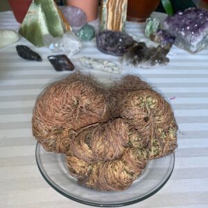 Rose of Jericho Flower